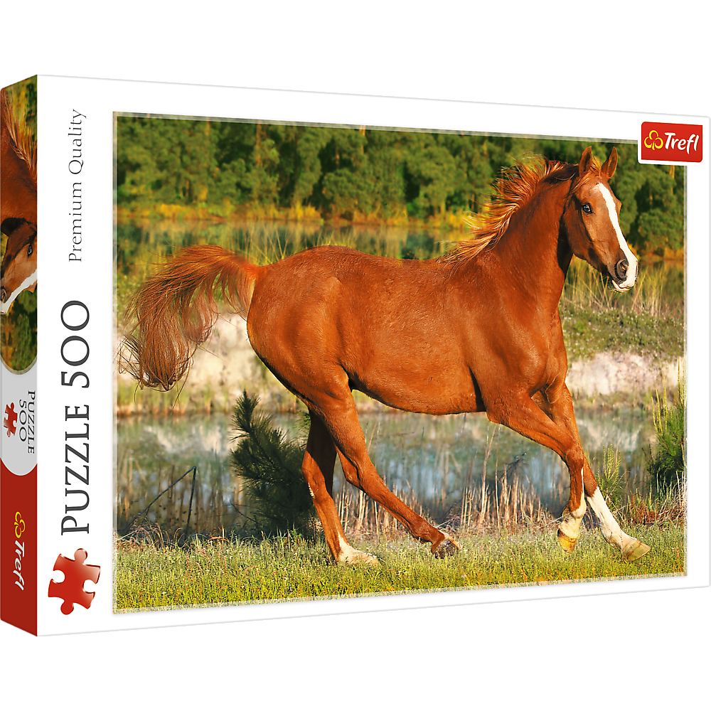 Puzzle 500 Piezas - The beauty of gallop