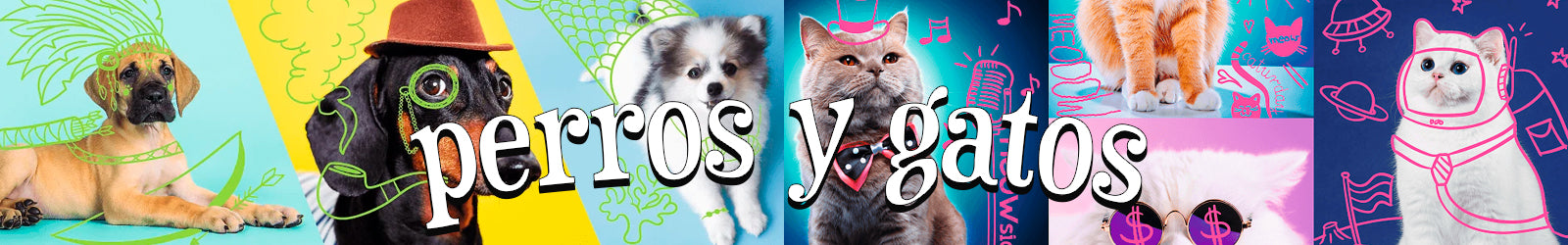 Perros y gatos