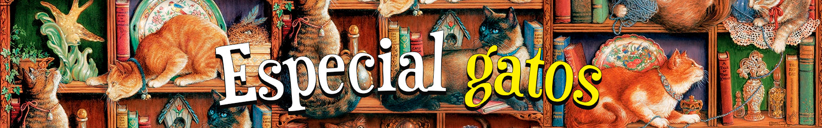 Especial mes de los gatos