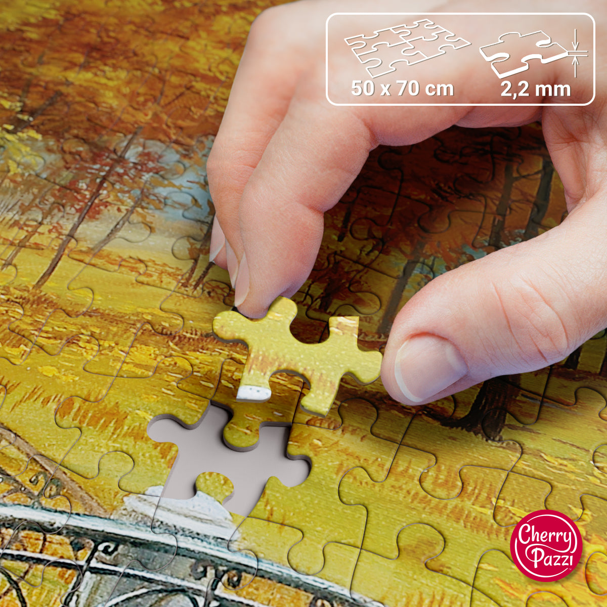 Puzzle 1000 Piezas - Autumn in an old park