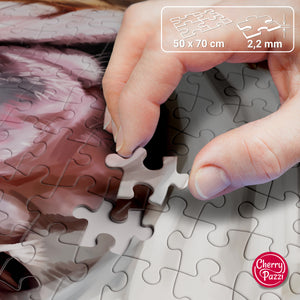 Puzzle 1000 Piezas - Bon voyage!