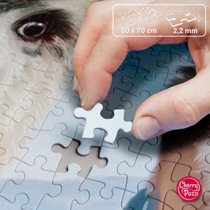 Puzzle 1000 Piezas - Friends Forever