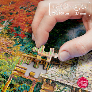 Puzzle 2000 Piezas - Treasures of the Great Outdoors