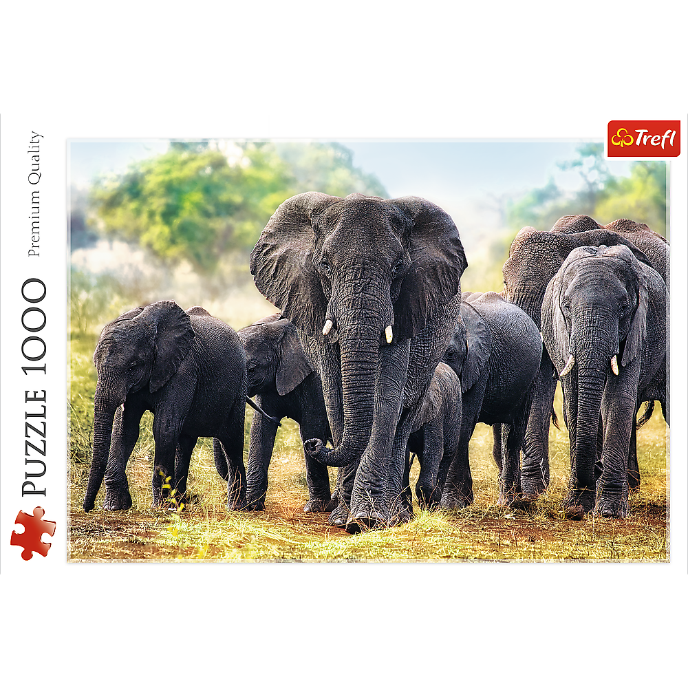 Puzzle 1000 Piezas - African elephants