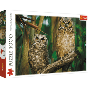 Puzzle 1000 Piezas - Owls