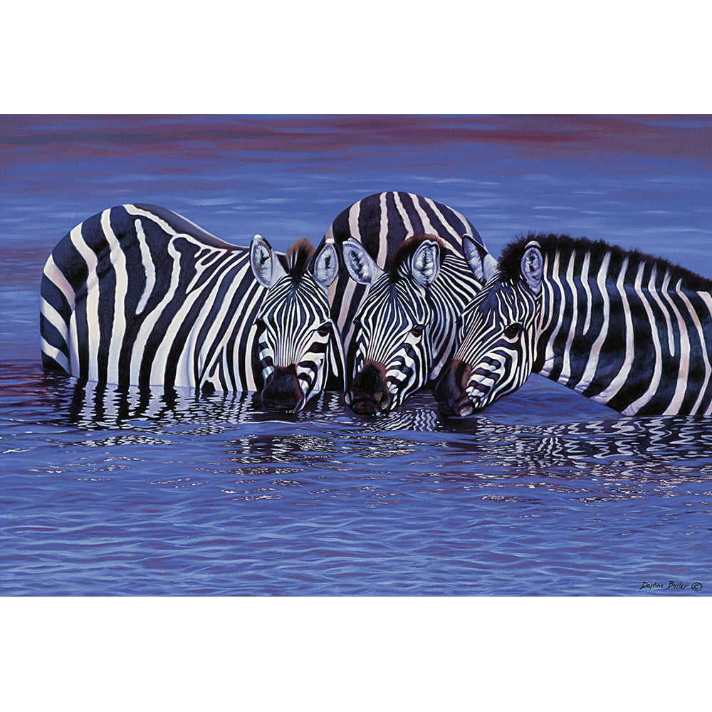 PUZZLE 1000 PIEZAS - Zebras in the Water - puzles.cl