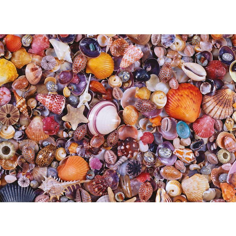 Puzzle 1000 piezas - Sea Shells