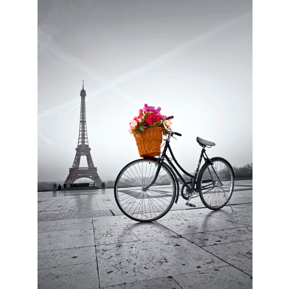 Puzzle 500 Piezas - Paseo por Paris