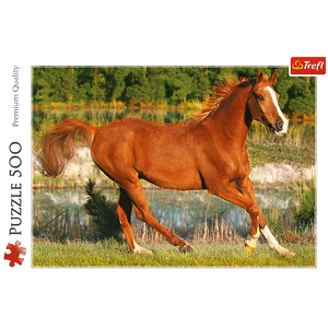 Puzzle 500 Piezas - The beauty of gallop