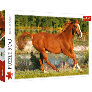 Puzzle 500 Piezas - The beauty of gallop